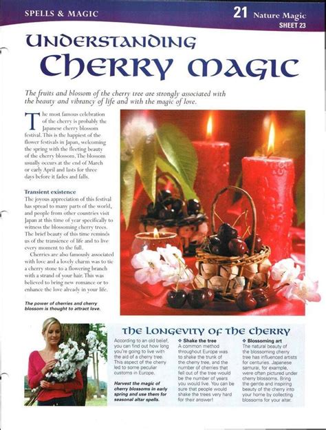 Healing and Enlightenment: The Magic of the Cherry Enchantment